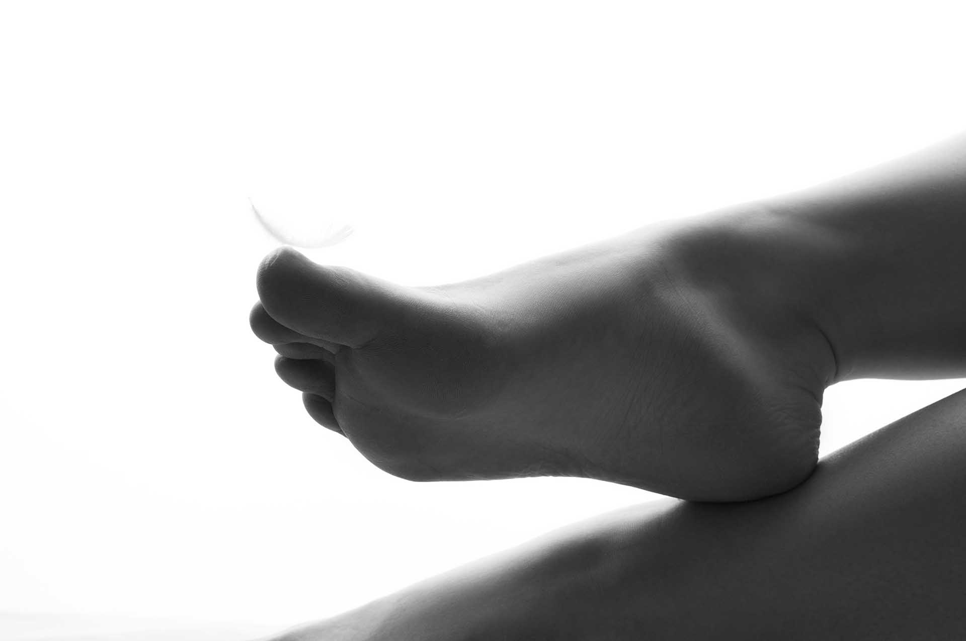 La morphologie du pied 2